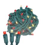 Commercial Grade Wide Angle 50 LED Red/Warm White 25' Long on Green Wire